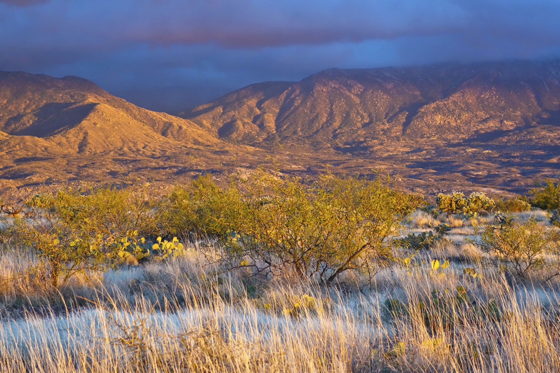 The Arizona National Scenic Trail is a complete non-motorized path, stretching 800 diverse miles across Arizona from Mexico to Utah. It links deserts, mountains, canyons, forests, history, communities and people. The Arizona Trail Association’s mission is to protect, maintain, enhance, promote and sustain the Arizona Trail as a unique encounter with the natural environment.